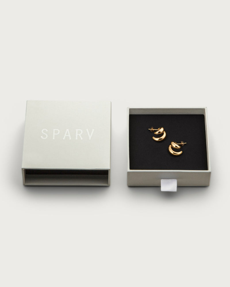 Core earrings