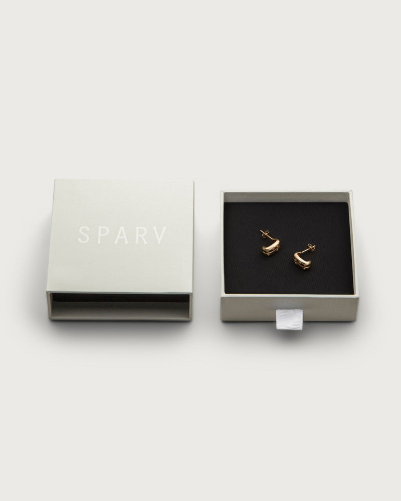 Duo earrings