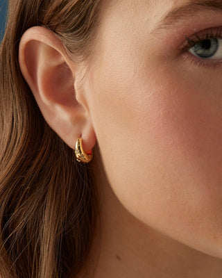 Gaze earrings