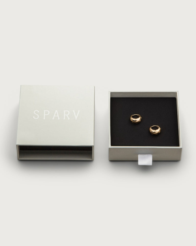 Gaze earrings