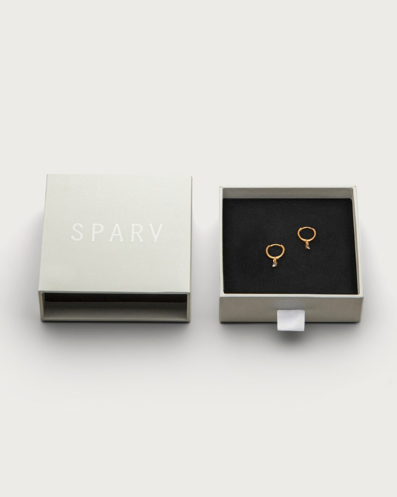 Petite Sparkling Hoops earrings