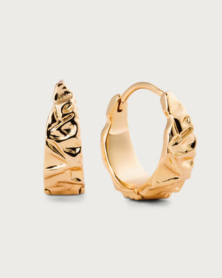 Storyline earrings