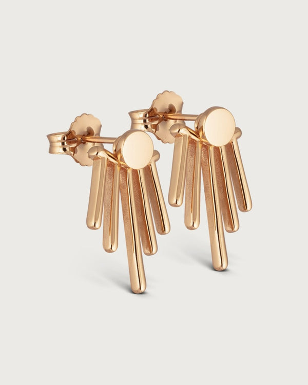 Twisted earrings