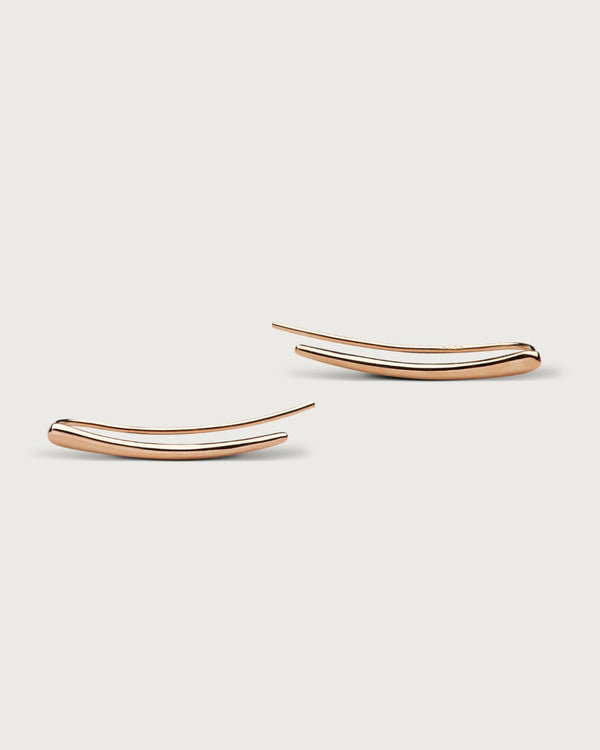 Vibes earrings